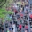 Marathons 2022